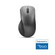 Lenovo Professional BT Rechargeable