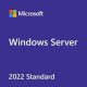 Microsoft_WS_2022_10CALs_User