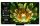 Mini LED TV 4K 85''(215 cm) TCL 85Q7C