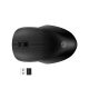 HP 255 Dual Wireless Mouse