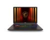 Vector 16 QHD+ U9 275HX 32 1 5070Ti W11H