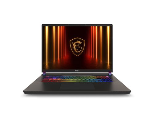 Vector 17 QHD+AI U9 275HX 32 2 5080 W11H