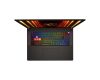 Vector 17 QHD+AI U9 275HX 32 2 5080 W11H