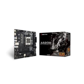 Biostar A620MS motherboard