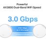 Router wireless TP-LINK Deco X50-PoE(3-pack), WI-FI 6, Mesh, Dual Band