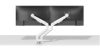 Suport dublu mon. birou NM 17"-32" arg