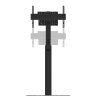 Stand podea fix NM  37"-75" 70kg negru