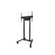 Stand podea mobil NM 55"-100" 110kg ng