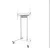 Stand podea mobil NM 55"-100" 110kg alb