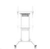 Stand podea mobil NM 55"-100" 110kg alb