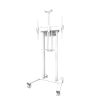 Stand podea mobil NM 55"-100" 110kg alb