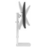Suport dublu mon. birou NM 10"-30" 6 kg