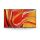 TV Signage SONY FWD-75XR70