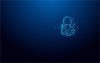 Kingston Ironkey Vault Privacy 64GB