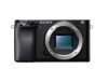Sony ALPHA 6100 Aparat foto