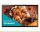 Monitor touch Samsung QB24C-T