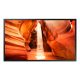 Monitor Signage SAMSUNG OM55N 4000nit