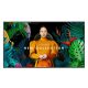 Monitor signage SAMSUNG QM65C