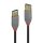 Cablu Lindy 1m USB 3.2 Gen1 Ext A/A, Ant