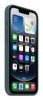 IPHONE 16E SI CASE LAKE GREEN-ZML