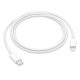 Apple USB-C to Lightning Cable (1 m) -