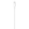 Apple USB-C to Lightning Cable (1 m) -