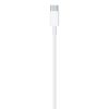 Apple USB-C to Lightning Cable (1 m) -