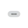 USB-C TO LIGHTNING ADAPTER-ZML