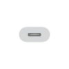 USB-C TO LIGHTNING ADAPTER-ZML