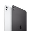 iPad Pro 11 SIM 2TB Space Black (2024)