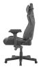 Scaun gaming Genesis Nitro 950 150kg ng