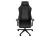 Scaun Genesis Nitro 890 G2 150kg negru
