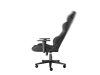 Scaun Genesis Nitro 550 G2 150 kg, gri