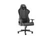 Scaun Genesis Nitro 550 G2 150 kg, gri
