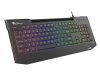 Tastatura cu fir Genesis LITH 400 negru