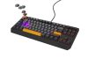 Tastatura Genesis Thor 230 TKL R gri