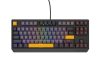 Tastatura Genesis Thor 230 TKL R gri