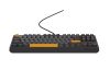 Tastatura Genesis Thor 230 TKL R gri