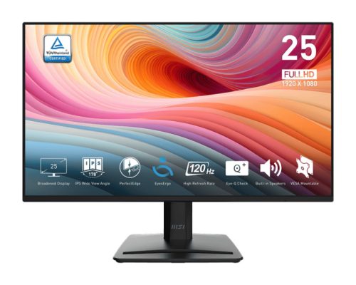 MSI Pro MP252 E2 computer monitor