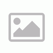 LIC FPP MS 365 PERSONAL ENGLISH P10 1 AN