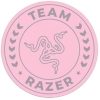Razer Team floor rug, roz