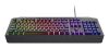 Tastatura Trust GXT 836 Evocs, negru
