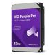 Western Digital Purple Pro WD240PURP int