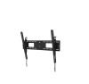 Suport perete NM 43"-98" 125kg ng
